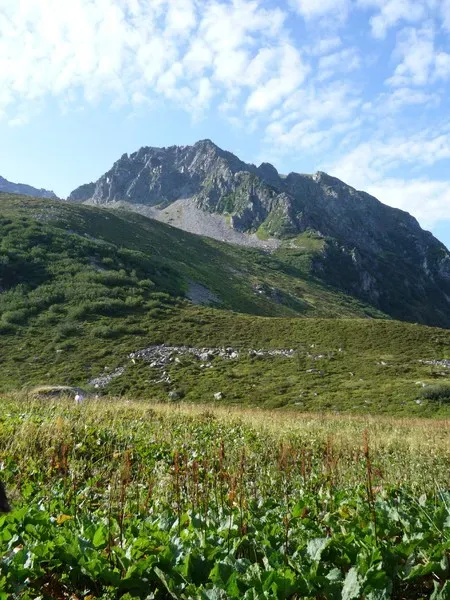 paysage-camping-clair-matin-6