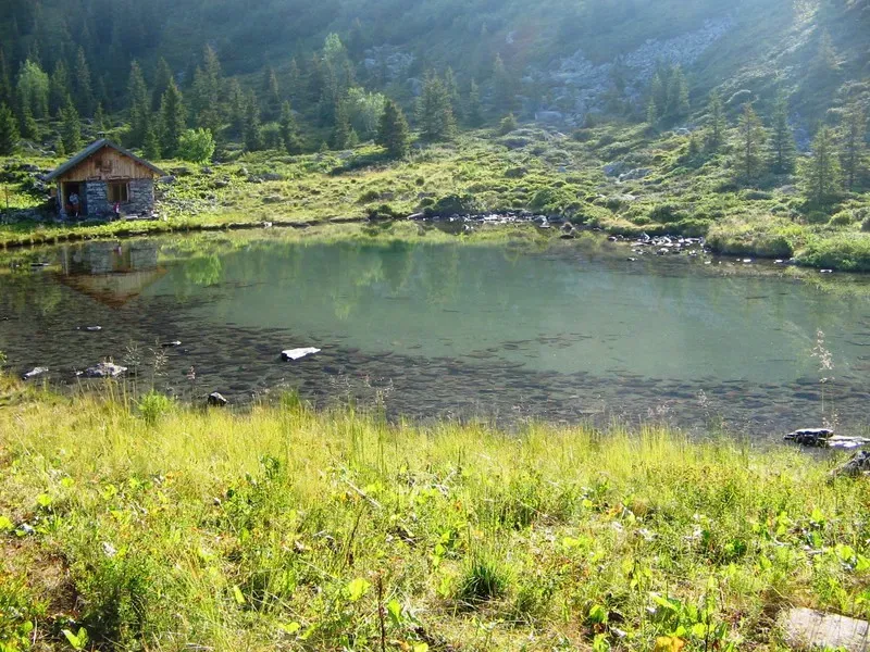 paysage-camping-clair-matin-14