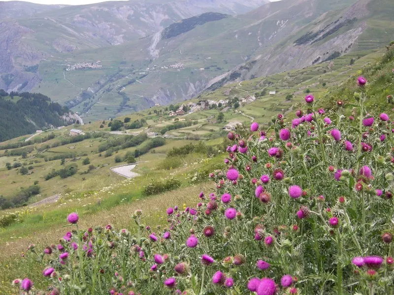 paysage-camping-clair-matin-18