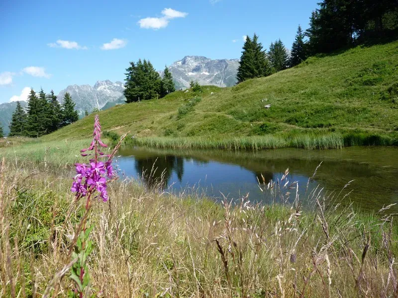 paysage-camping-clair-matin-1